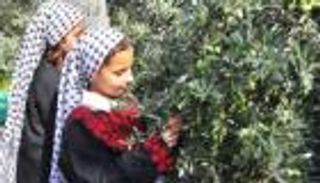 إندونيسيا تعفي منتجات فلسطينية من الرسوم الجمركية