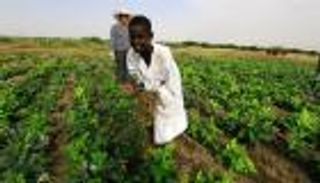 توقعات حكومية متشائمة لنمو الاقتصاد السوداني