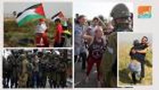 بالصور.. 4 أيقونات في لوحة شرف القدس.. رموز نضال أدهشت العالم