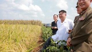 العقوبات لن تعرقل الطموحات النووية لزعيم كوريا الشمالية