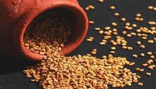 نبات الحلبة كنز صحي لا يعرفه الكثيرون