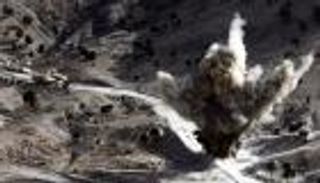 مقتل إرهابي بارز بغارة أمريكية على حدود باكستان