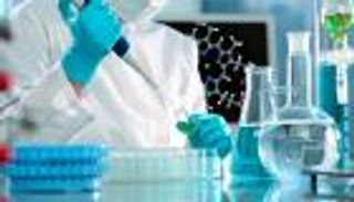 إنفلونزا الخنازير تقتل 2000 هندي في 2017 