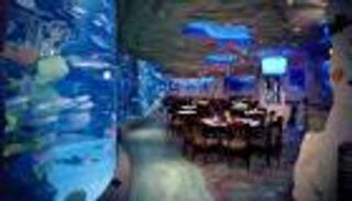 بالصور .. أشهر 5 مطاعم تحت الماء حول العالم