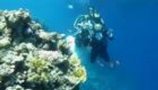 بالفيديو والصور... "تقاليع" غريبة للزفاف في مصر