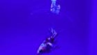 بالفيديو.. روبوت من الجل لاصطياد السمك