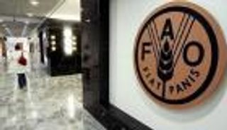 أسعار الغذاء العالمية عند أعلى مستوياتها