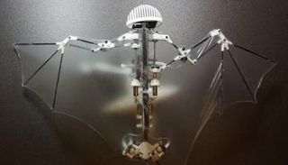 خفاش طائر بدون طيار 