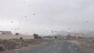 أمطار الخير تهطل على الإمارات