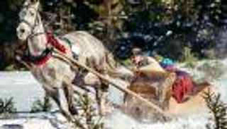 بالصور.. "التزلج بالخيول" رياضة البولنديين في الشتاء