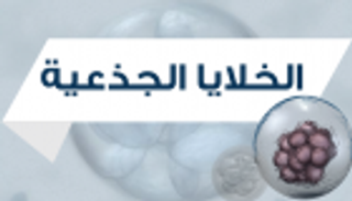 إنفوجراف.. الخلايا الجذعية أعظم إنجازات العلم