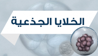 الخلايا الجذعية اكتشاف يبعث الأمل