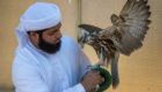 بالصور.. مشاركات مميزة لبطولات الصيد بالصقور في دبي