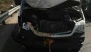 استشهاد مُسنّ فلسطيني دهسه مستوطن يهودي جنوبي الضفة