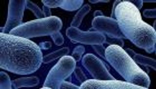 "البكتيريا" سلاح الباحثين الجديد للقضاء على الأمراض مستقبلا