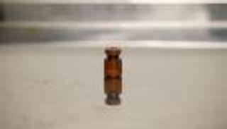 "الحمى الصفراء" تقتل العشرات في البرازيل.. و 600 قرد