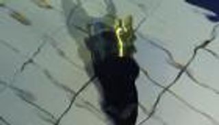 بالفيديو.. الجيش الإسرائيلي يزعم اعتراض صواريخ أطلقت من مصر باتجاه إيلات