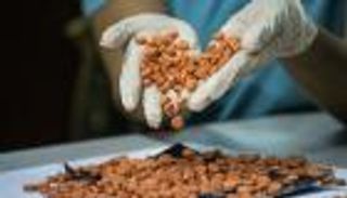 هولندا تحبط محاولة صنع مليار من حبوب "النشوة"