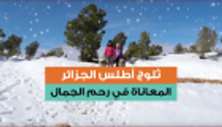 ثلوج أطلس الجزائر.. المعاناة في رحم الجمال