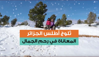 ثلوج أطلس الجزائر.. المعاناة في رحم الجمال