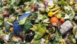 "أنستقرام" يغذي إهدار الطعام.. كيف؟