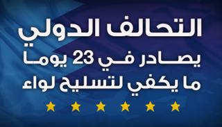 التحالف الدولي يصادر في 23 يوما ما يكفي لتسليح لواء