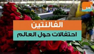 الزهور الحمراء تصدرت أغلب مشاهد الاحتفال بعيد الحب