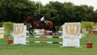 الإعلان عن كأس أكاديمية فاطمة بنت مبارك الدولي لقفز الحواجز 2017