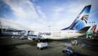 طائر يجبر طائرة مصرية على الهبوط