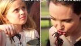 بالفيديو.. أنجلينا تعلم أبناءها أكل الصراصير والعقارب