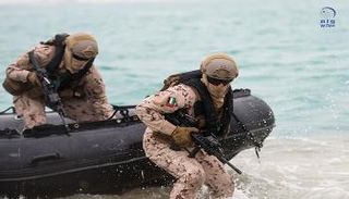 قوات التدخل السريع الإماراتية