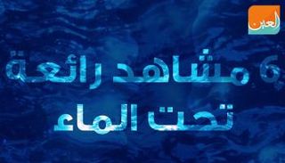 أعماق البحار مليئة بالعجائب والغراب