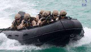 القوات المسلحة الإماراتية  