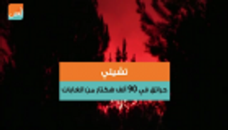 تشيلي.. حرائق في 90 ألف هكتار من الغابات