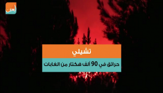 حرائق الغابات وسط تشيلي مازالت مستمرة