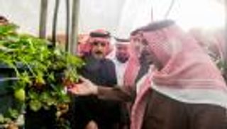 بالصور.. افتتاح مهرجان الفراولة بالقصيم في السعودية