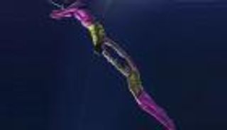 عروض "مونت كارلو" الترفيهية متسمرة في القصباء حتى منتصف مارس