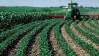 الجزائر.. فتح القطاع الزراعي على مصراعيه أمام الاستثمار الأجنبي