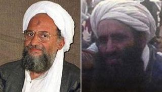 أبو الخير المصري وأيمن الظواهري