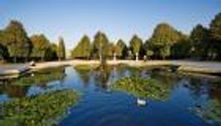 إعدام بجعة مصابة بإنفلونزا الطيور بحديقة حيوان بفيينا