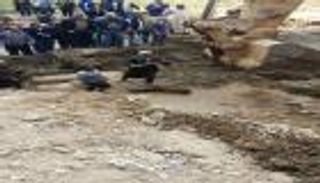 مصر.. اكتشاف تمثالين فرعونيين يُرجح أنهما لرمسيس الثاني والملك سيتي