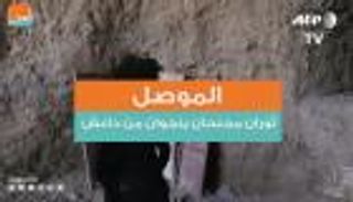 الموصل.. ثوران مجنحان ينجوان من داعش