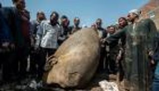 بالصور.. مصر.. القصة الكاملة لاكتشاف تماثيل رمسيس بحي قاهري