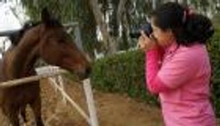 "فن" توظف تصوير الخيول لدعم ذوي الاحتياجات الخاصة