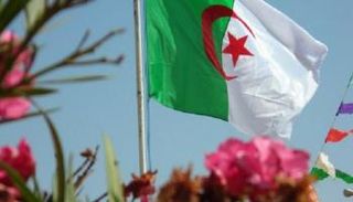 علم الجزائر