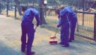 بأمر محمد بن راشد: تنظيف حديقة الحيوان 3 أشهر عقوبة "تعذيب القطة"