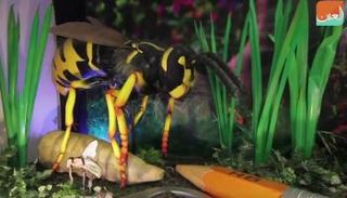 معرض للديناصورات والحشرات