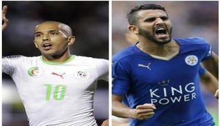 فيغولي - محرز