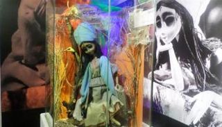 الاحتفال باليوم العالمي للعرائس 20 مارس الجاري