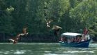  سنغافورة أغلى مدن العالم في تكلفة المعيشة